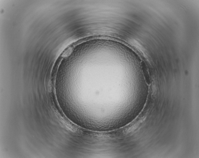 X0000088070924200705182202
