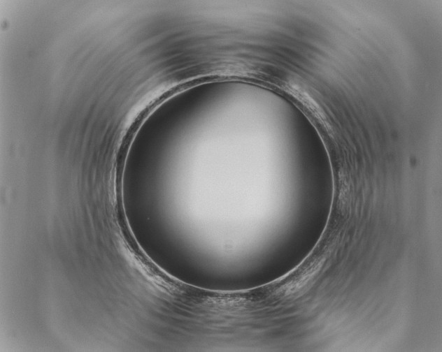 X0000088070939200705182203