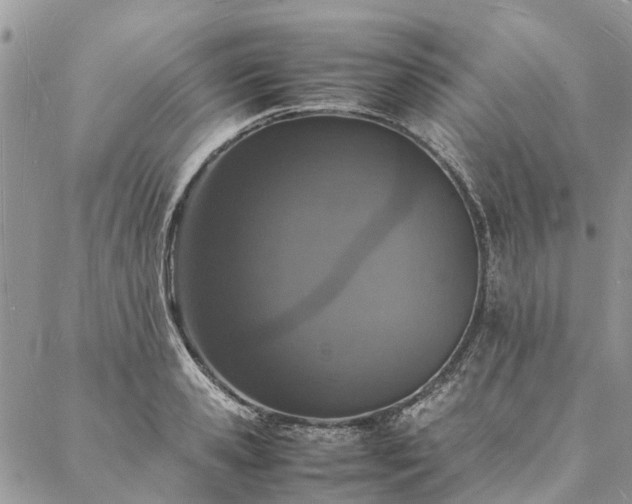 X0000088070941200705182203