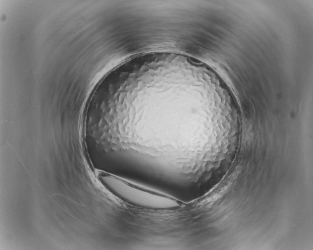 X0000088070957200705182203