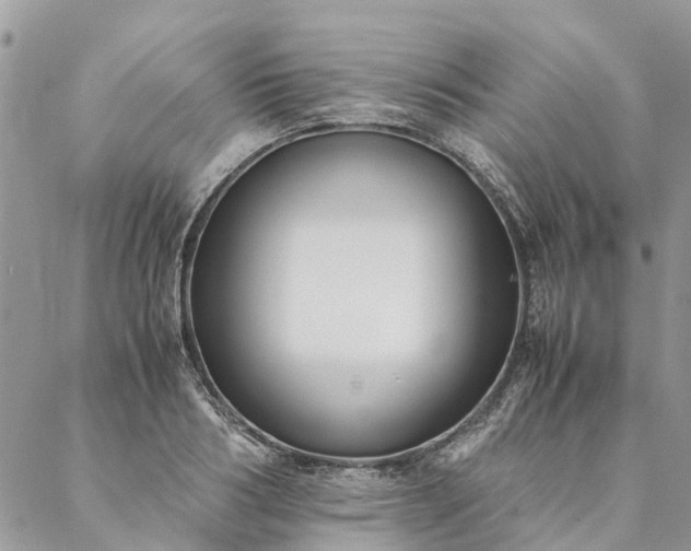 X0000088070986200705182202