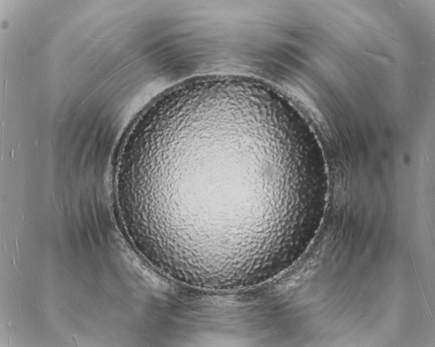 X0000088070990200705182202
