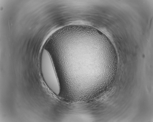X0000088071008200705182201
