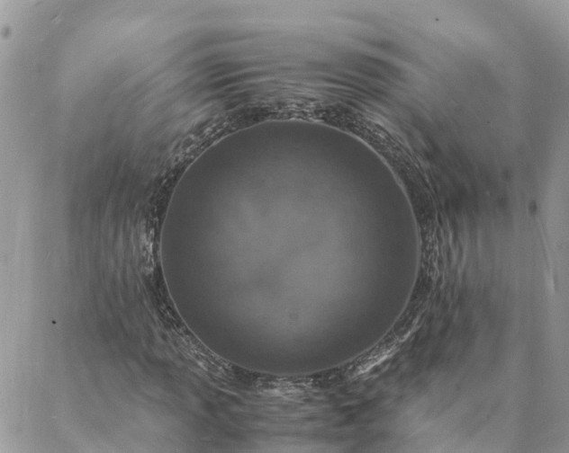 X0000088071013200705182201