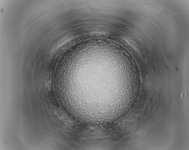 X0000088071015200705182201
