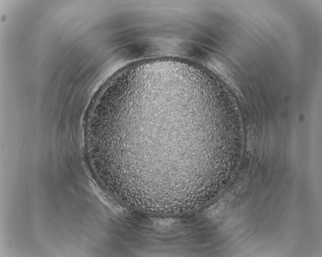 X0000088071031200705182201