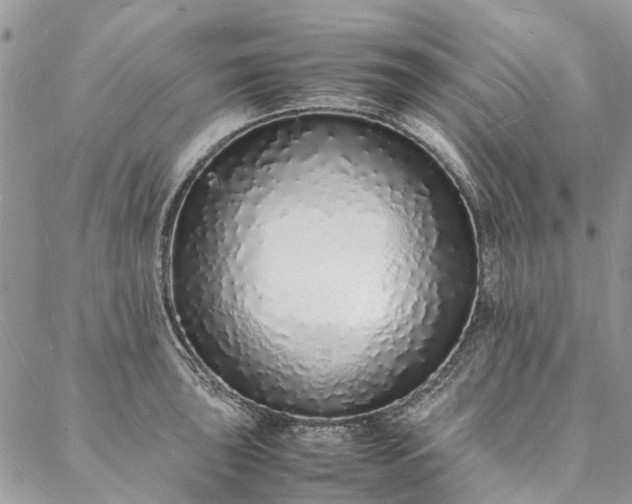 X0000088071043200705182201