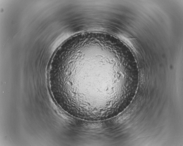 X0000088071047200705182201