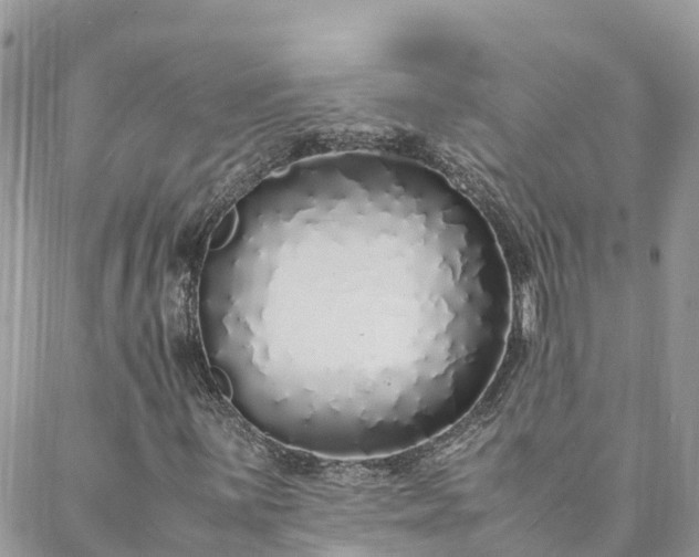 X0000088071059200705182201