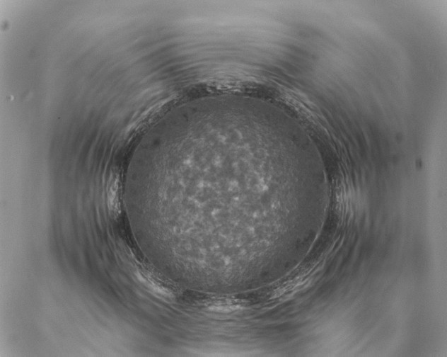X0000088071060200705182201