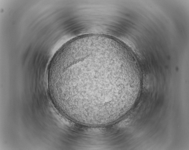 X0000088071078200705182200