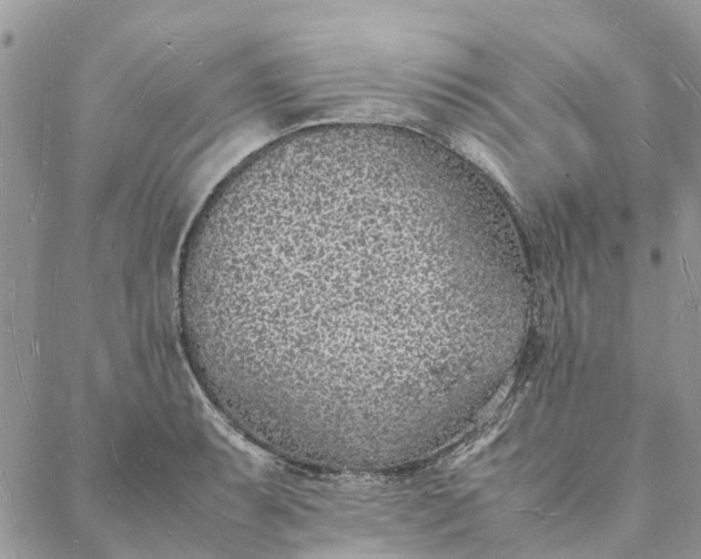 X0000088071087200705182200