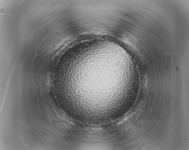 X0000088071110200705182159
