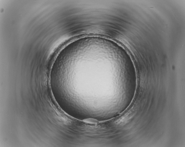 X0000088071115200705182159