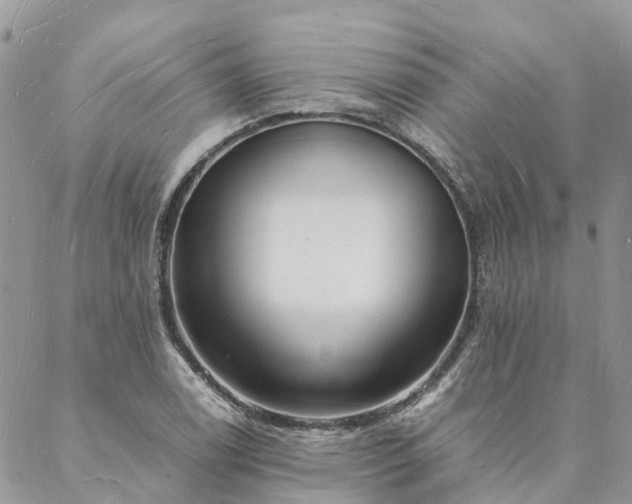 X0000088071122200705182159