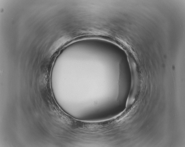 X0000088071163200705182159
