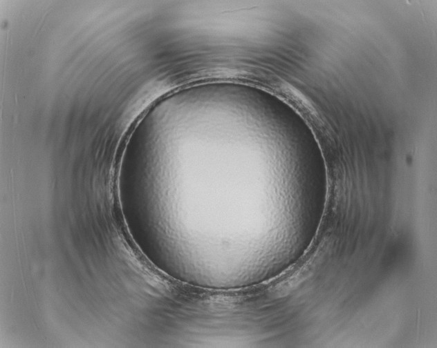 X0000088071178200705182159
