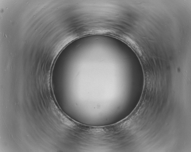 X0000088071186200705182158
