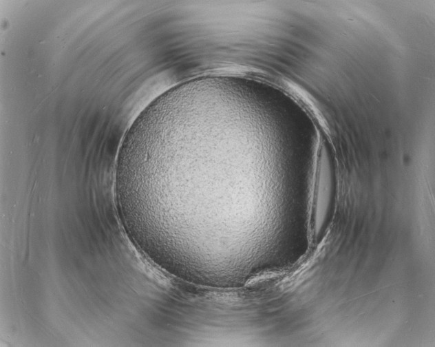 X0000088071194200705182158