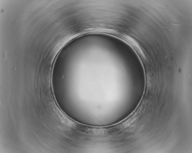 X0000088071244200705182158