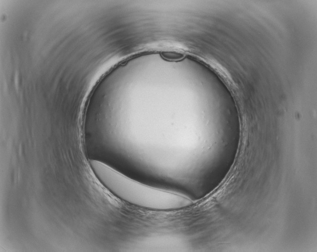 X0000088071248200705182158
