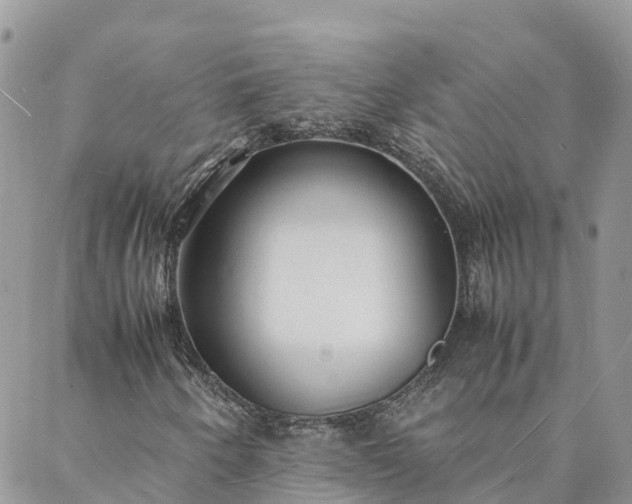 X0000088071250200705182157