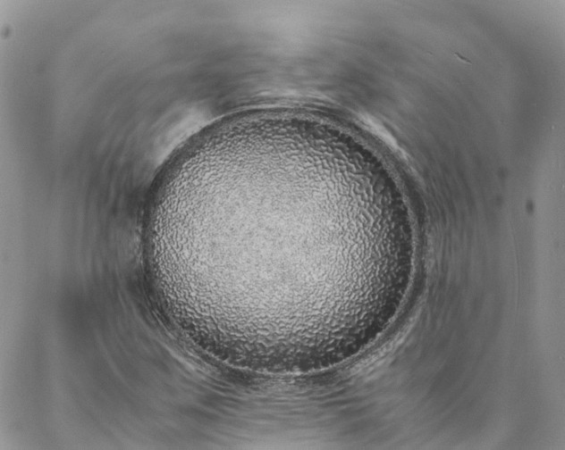 X0000088071259200705182157