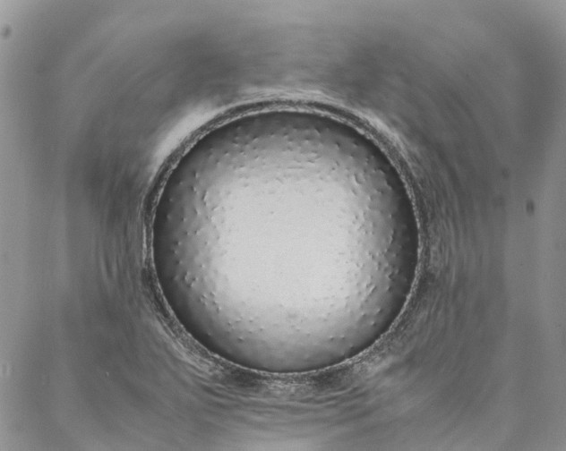 X0000088071271200705182157