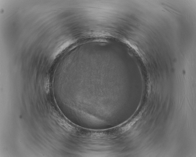 X0000088071306200705182156