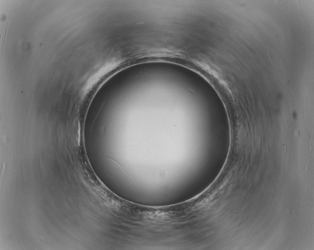 X0000088071317200705182156