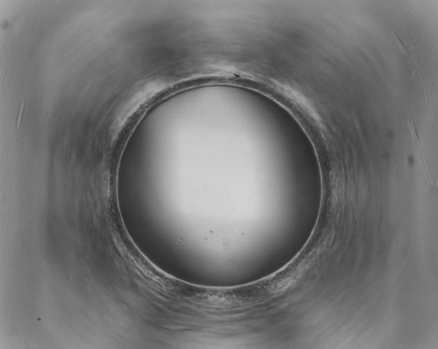 X0000088071318200705182156