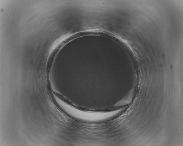X0000088071319200705182156