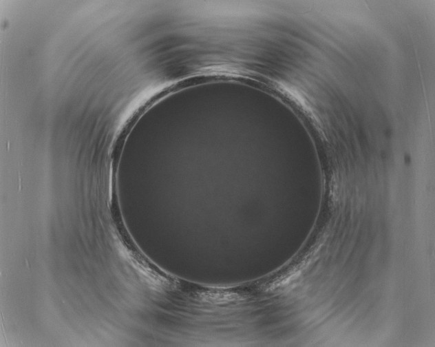 X0000088071323200705182156