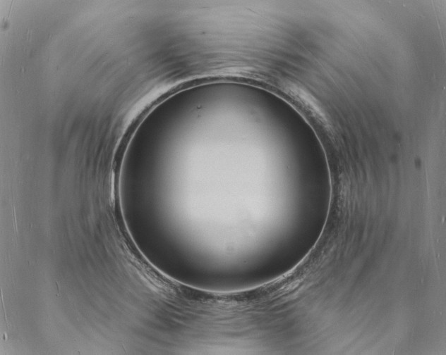 X0000088071324200705182156
