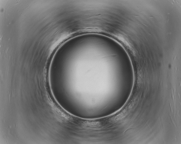 X0000088071325200705182156