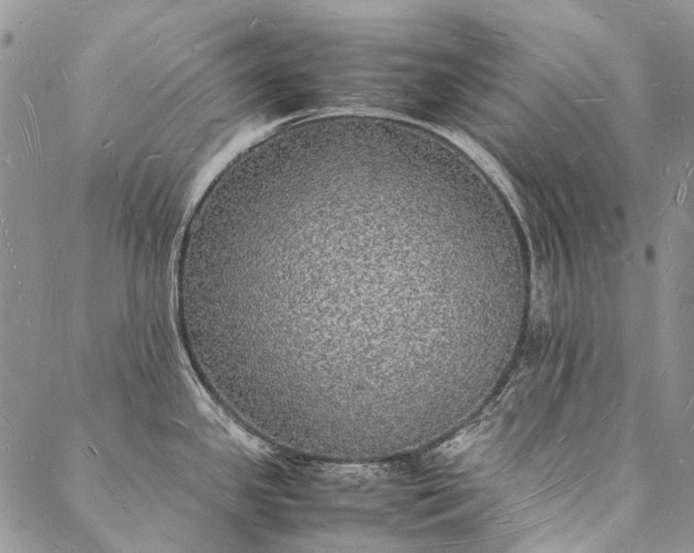 X0000088071341200705182157