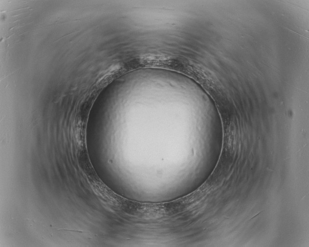 X0000088071346200705182156