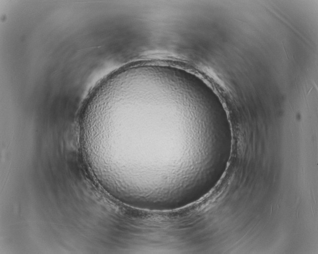 X0000088071358200705182156