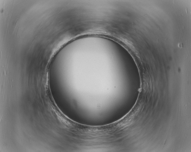X0000088071366200705182156