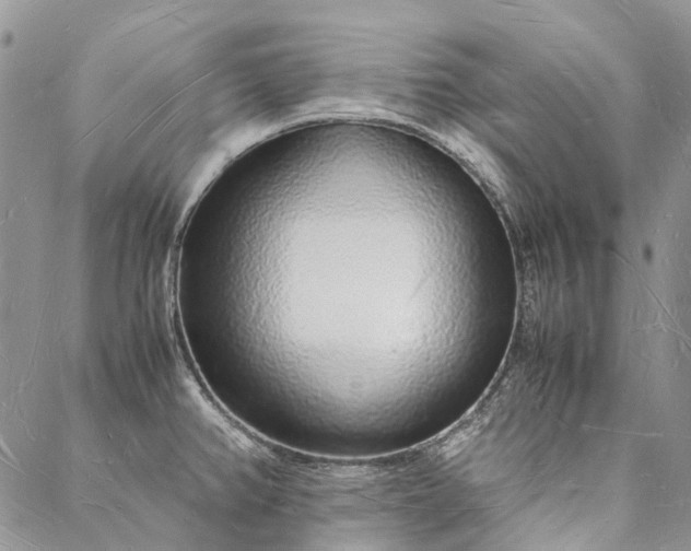 X0000088071382200705182155
