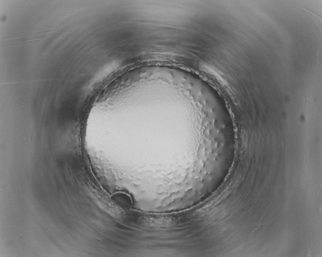 X0000088071403200705182154