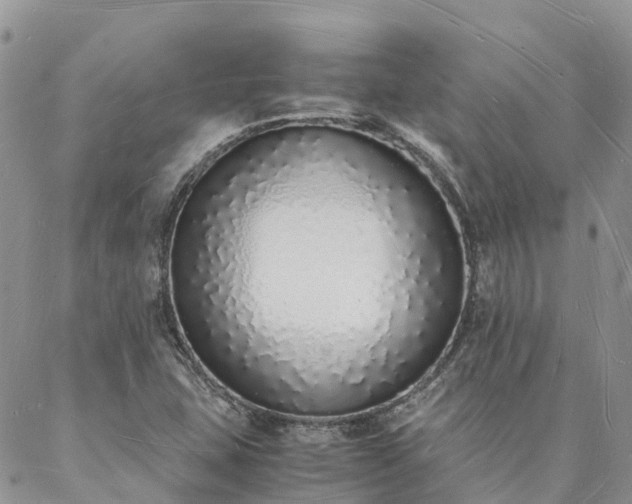 X0000088071407200705182155