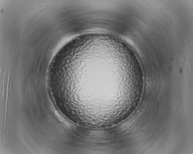 X0000088071421200705182155