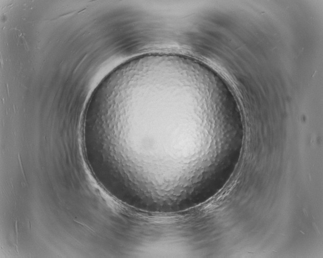 X0000088071440200705182155
