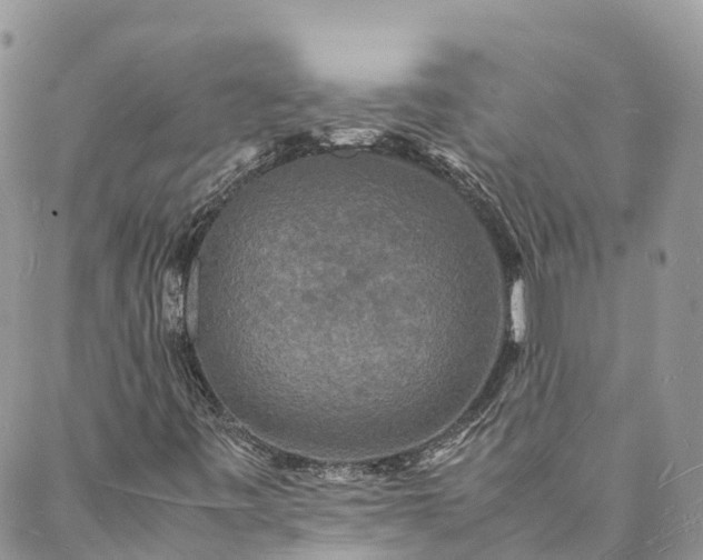 X0000088071443200705182154