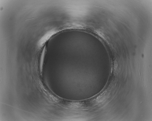 X0000088071455200705182154