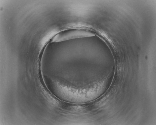 X0000088071463200705182154