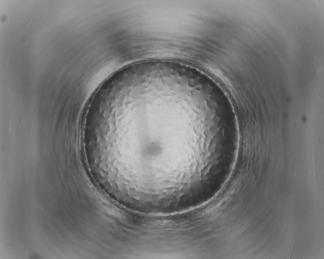X0000088071467200705182154