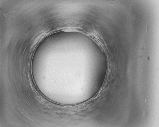 X0000088070001200705251414