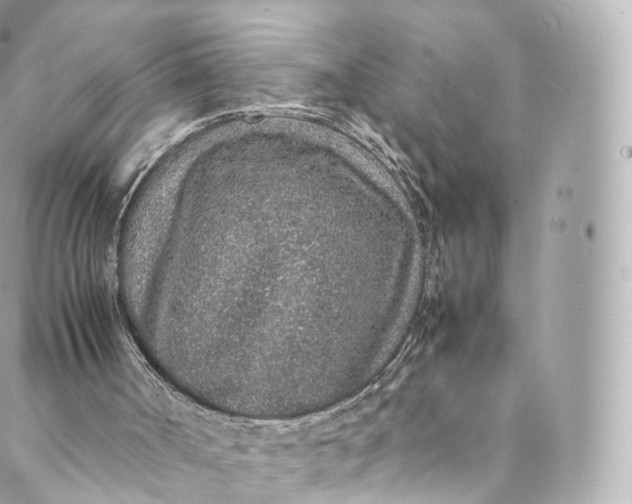 X0000088070002200705251414